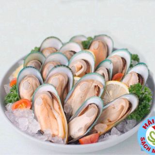 VẸM XANH NEW ZEALAND