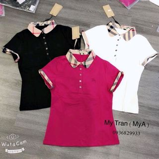 Áo thun da cá cổ trụ