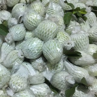 Ổi nữ hoàng sạch