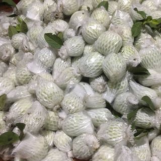 Ổi nữ hoàng sạch