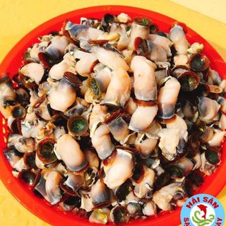 CỒI HÀU ĐIẾU