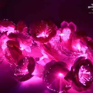 Dây đèn Led Hoa hồng lụa dạ quang Màu Hồng