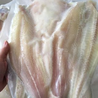 CÁ DỨA BIỂN THIÊN NHIÊN