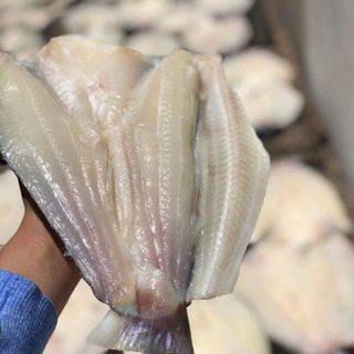 CÁ DỨA BIỂN THIÊN NHIÊN
