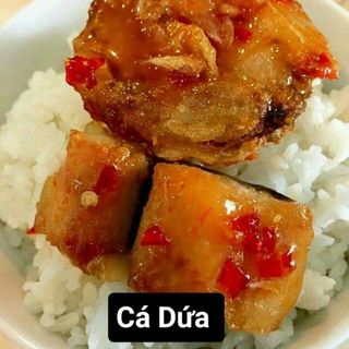 CÁ DỨA CẦN GIỜ NUÔI BÈ