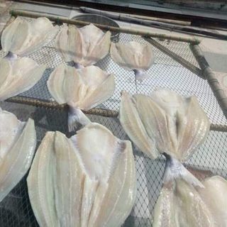 CÁ DỨA CẦN GIỜ NUÔI BÈ