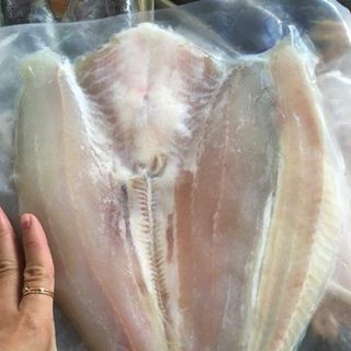 CÁ DỨA CẦN GIỜ NUÔI BÈ