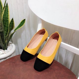giày búp bê phối màu
