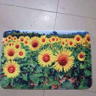 thảm lâu chân 4D