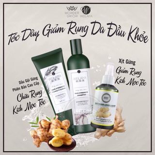 Bán buôn tuyển CTV dầu gội gừng WEILAIYA kích thích mọc tóc cực hiệu quả -