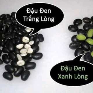ĐẬU ĐEN XANH LÒNG 1KG