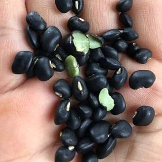 ĐẬU ĐEN XANH LÒNG 1KG