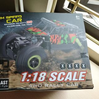 Xe địa hình điều khiển từ xa Rally Car