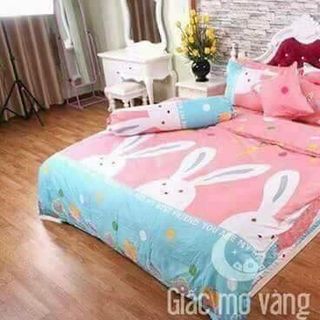 set chăn poly trân bong