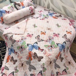 set chăn poly trân bong