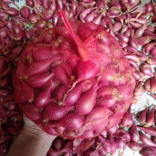Hành Lý Sơn