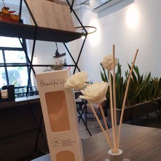 tinh dầu khuếch tán hương thơm Aromatherapy