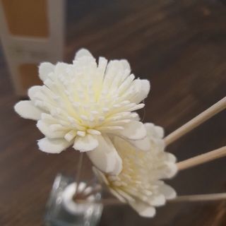 tinh dầu khuếch tán hương thơm Aromatherapy