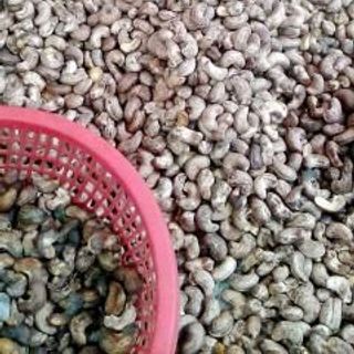 Hạt điều rang muối A Bình phước