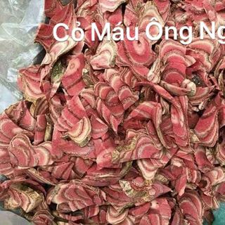 cỏ máu thần dược Ông Nghĩa
