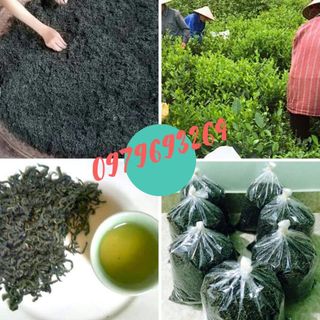 Chè Thái Nguyên-sạch 100 giá