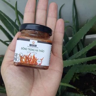 Đông trùng hạ thảo ngâm mật ong Hector