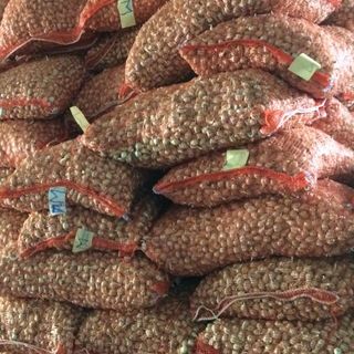 tỏi cô đơn số lượng lớn tốt nhất