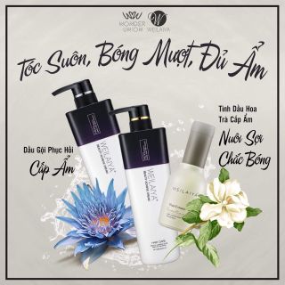 Bán buôn tuyển CTV dàu gội phục hồi WEILAIYA cấp ẩm phục hồi tóc hư tổn cực hiệu quả