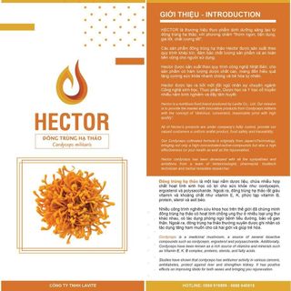 Đông trùng hạ thảo ngâm mật ong Hector