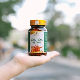 Đông trùng hạ thảo Hector sấy thăng hoa
