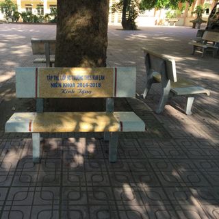 Ghế đá Giá Sỉ Hà Nội