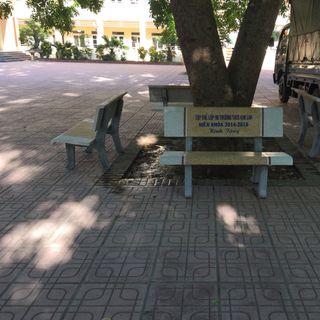 Ghế đá Giá Sỉ Hà Nội