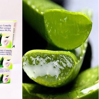 Gel Trị Bỏng - BURNOVA GEL PLUS - 25gram