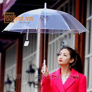 Dù Trong Suốt - WinWinShop88