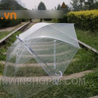 Dù Trong Suốt - WinWinShop88