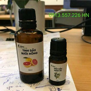 Tinh dầu tràm trà hay tràm úc