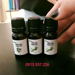 Tinh dầu tràm gió 100 pure
