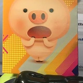 Bao lì xì tết 2019 giá sĩ