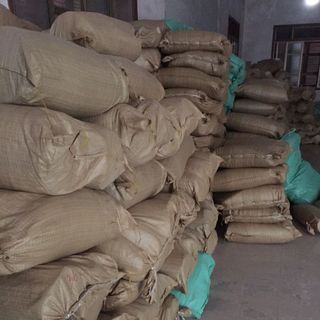 Túi bầu ươm cây