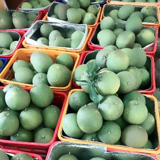 Bưởi Da Xanh Bình Chánh - TP HCM