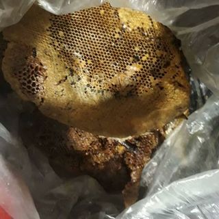 mật ong rừng nguyên chất