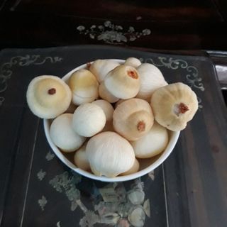 mộng dừa là gì