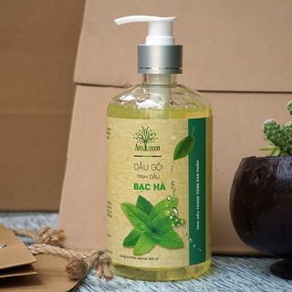 Dầu gội bạc hà trị gàu và nấm AmeGreen