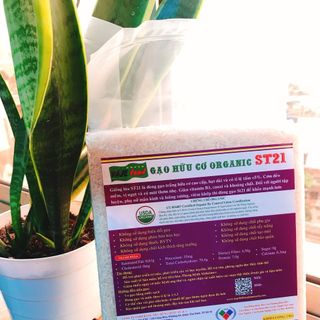 GẠO HỮU CƠ ĐẠT TIÊU CHUẨN USDA