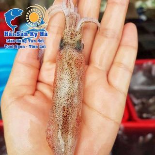 MỰC SỮA KHAY 500GR giá sỉ