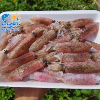 MỰC SỮA KHAY 500GR