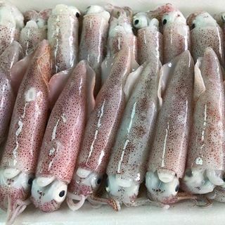 MỰC SỮA KHAY 500GR
