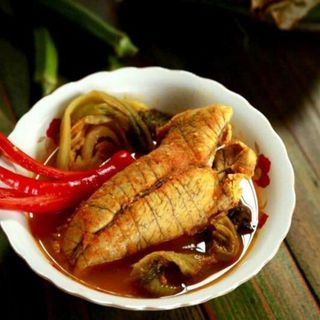 TRỨNG CÁ NGỪ ĐẠI DƯƠNG
