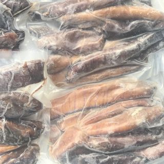 TRỨNG CÁ NGỪ ĐẠI DƯƠNG