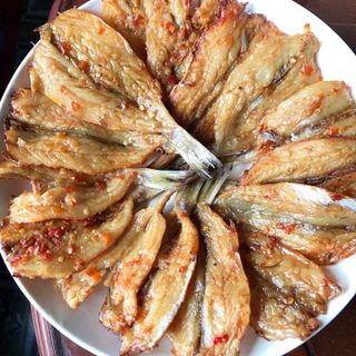 Cá Chỉ Vàng 1 Nắng